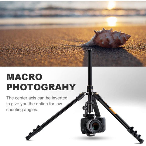 Lightweight Travel Tripod Camera Tripod 63.8''/162cm 10kg/22lbs Load Capacity 360° Panorama Ball Head for Canon Sony Nikon SLR DSLR B234A1+BH-28